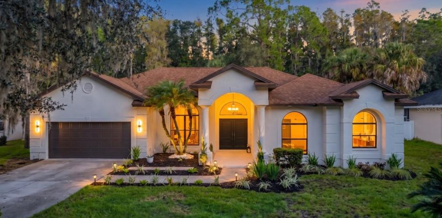 Villa ou maison à Tampa, Floride 5 chambres, 260.5 m2 № 2399316