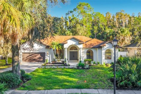 Villa ou maison à vendre à Tampa, Floride: 5 chambres, 260.5 m2 № 2399316 - photo 3