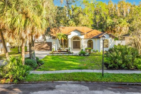 Villa ou maison à vendre à Tampa, Floride: 5 chambres, 260.5 m2 № 2399316 - photo 2
