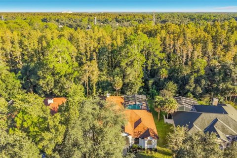 Villa ou maison à vendre à Tampa, Floride: 5 chambres, 260.5 m2 № 2399316 - photo 4