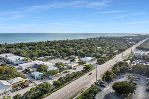 Immobilier commercial à vendre à Islamorada, Village of Islands, Floride № 2080074 - photo 6