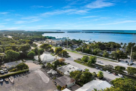 Immobilier commercial à vendre à Islamorada, Village of Islands, Floride № 2080074 - photo 14
