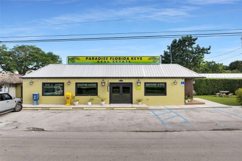 Immobilier commercial à Islamorada, Village of Islands, Floride № 2080074