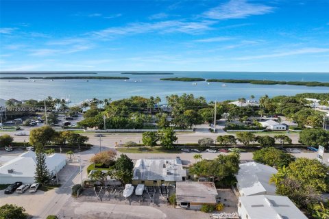 Immobilier commercial à vendre à Islamorada, Village of Islands, Floride № 2080074 - photo 12