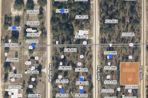 Land in Interlachen, Florida № 2234970
