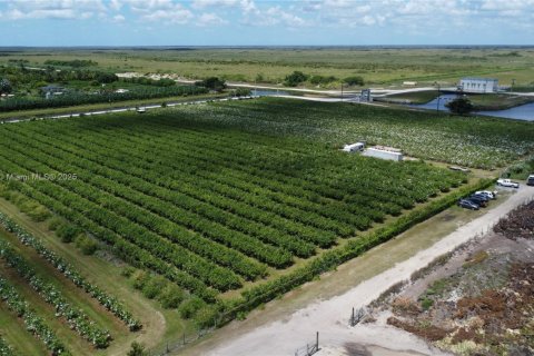 Commercial property in Homestead, Florida № 1977292 - photo 2