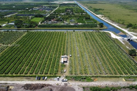 Commercial property in Homestead, Florida № 1977292 - photo 1