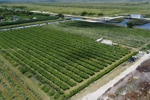 Commercial property in Homestead, Florida № 1977292 - photo 3