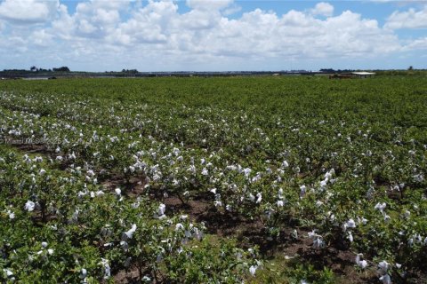 Commercial property in Homestead, Florida № 1977292 - photo 10