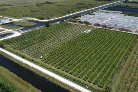 Commercial property in Homestead, Florida № 1977292 - photo 7