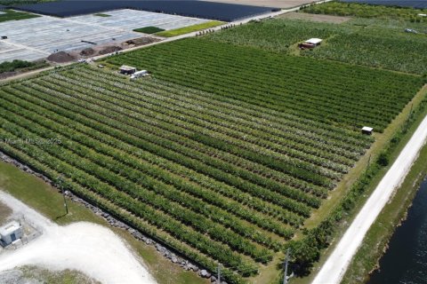 Commercial property in Homestead, Florida № 1977292 - photo 5