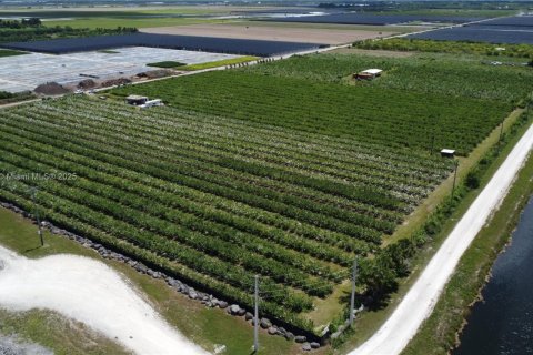 Commercial property in Homestead, Florida № 1977292 - photo 4