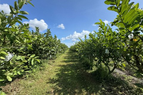 Commercial property in Homestead, Florida № 1977292 - photo 13