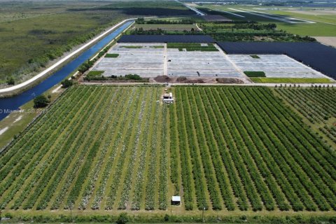 Commercial property in Homestead, Florida № 1977292 - photo 6