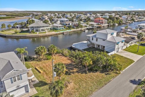 Land in Hernando Beach, Florida № 1544613 - photo 14