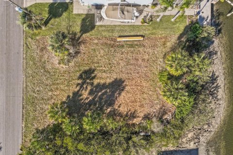 Land in Hernando Beach, Florida № 1544613 - photo 10