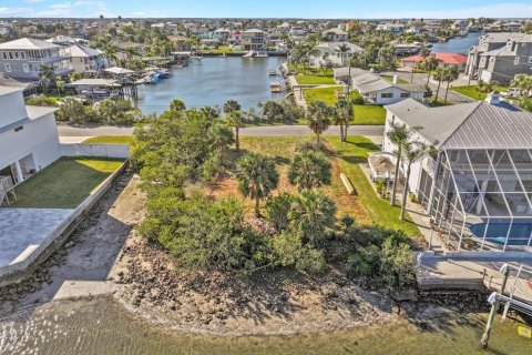Land in Hernando Beach, Florida № 1544613 - photo 11