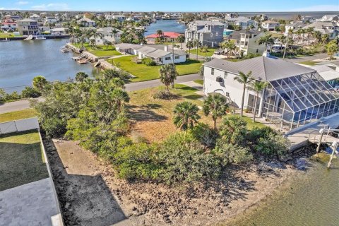 Land in Hernando Beach, Florida № 1544613 - photo 13