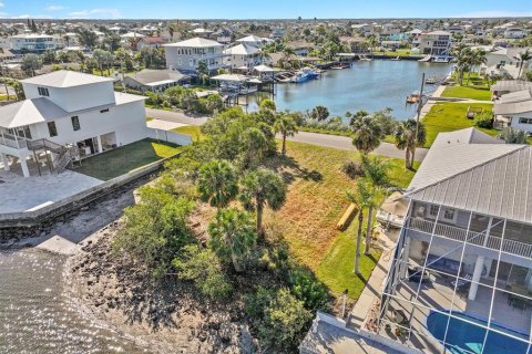 Land in Hernando Beach, Florida № 1544613 - photo 12