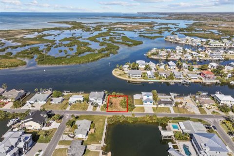 Land in Hernando Beach, Florida № 1544613 - photo 3