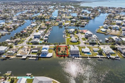 Land in Hernando Beach, Florida № 1544613 - photo 6