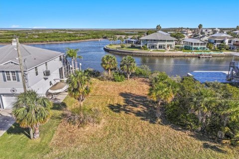 Land in Hernando Beach, Florida № 1544613 - photo 7
