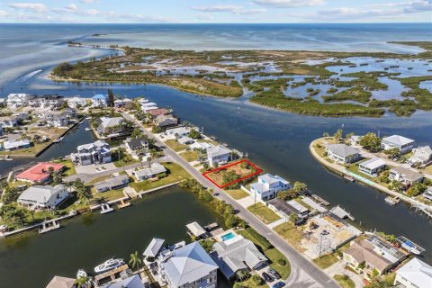 Land in Hernando Beach, Florida № 1544613 - photo 4