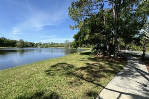 Touwnhouse à louer à Tampa, Floride: 2 chambres, 107.02 m2 № 2095365 - photo 24