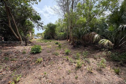 Land in Coral Springs, Florida № 1981348 - photo 3