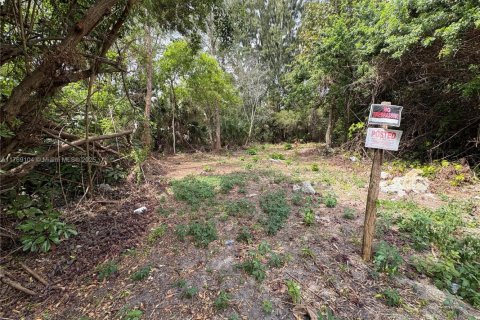 Land in Coral Springs, Florida № 1981348 - photo 2