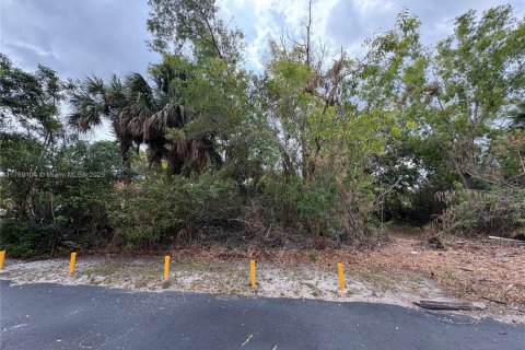 Land in Coral Springs, Florida № 1981348 - photo 8