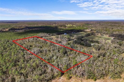 Land in Live Oak, Florida № 1425032 - photo 3