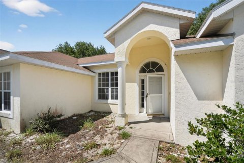 Villa ou maison à vendre à Eustis, Floride: 3 chambres, 169.73 m2 № 2140570 - photo 2