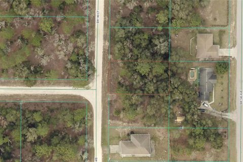 Land in Ocala, Florida № 2162543