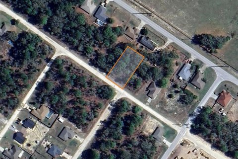 Land in Ocala, Florida № 2162543 - photo 7