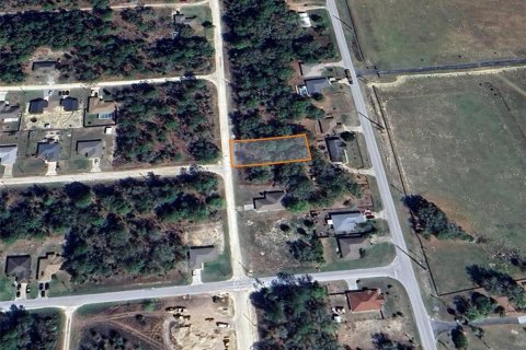 Land in Ocala, Florida № 2162543 - photo 14