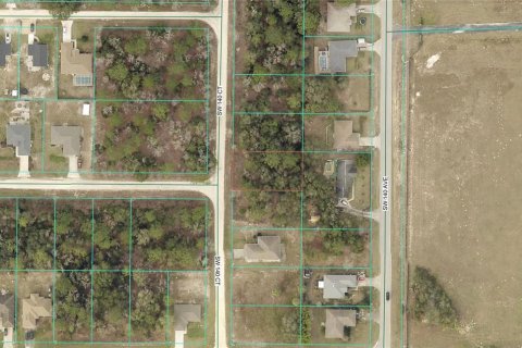 Land in Ocala, Florida № 2162543 - photo 2