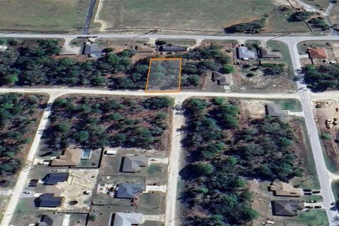 Land in Ocala, Florida № 2162543 - photo 8
