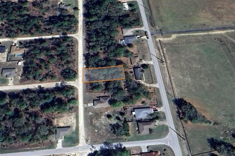 Land in Ocala, Florida № 2162543 - photo 5