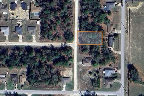 Land in Ocala, Florida № 2162543 - photo 6
