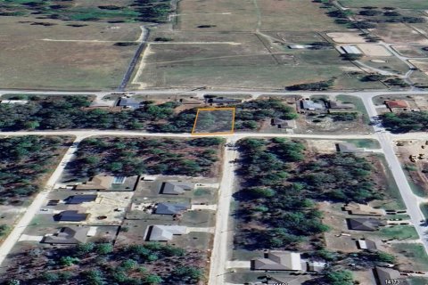 Land in Ocala, Florida № 2162543 - photo 10