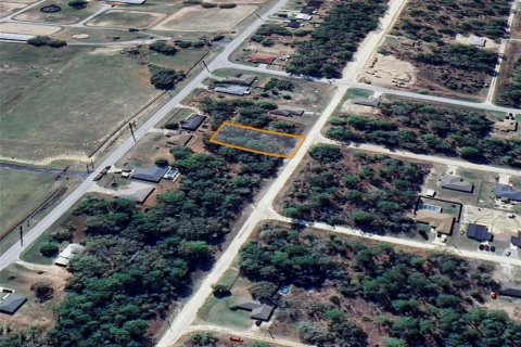 Land in Ocala, Florida № 2162543 - photo 12