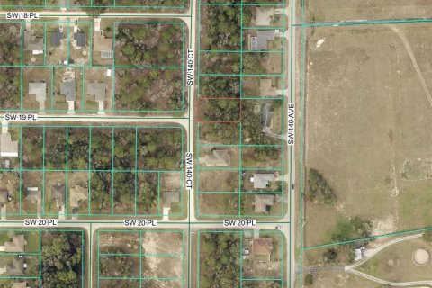 Land in Ocala, Florida № 2162543 - photo 3