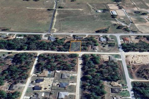 Land in Ocala, Florida № 2162543 - photo 9