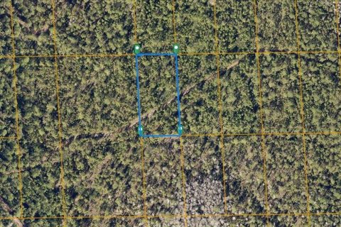 Land in DeLand, Florida № 1383155 - photo 1