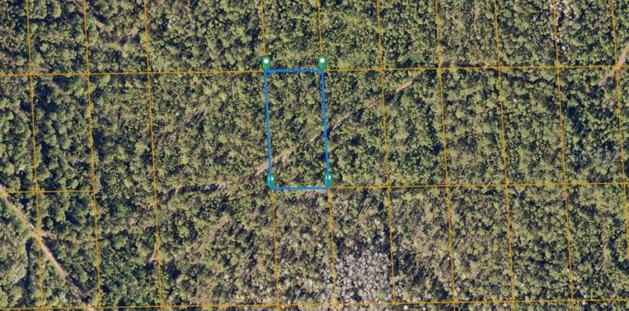 Land in DeLand, Florida № 1383155