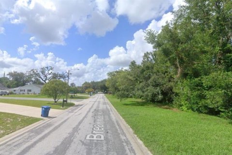 Land in Spring Hill, Florida № 1540643 - photo 7