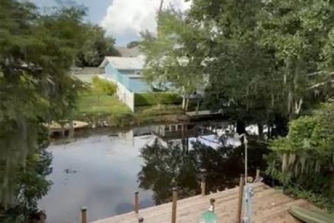 Villa ou maison à louer à Palm Harbor, Floride: 2 chambres, 105.72 m2 № 2418593 - photo 13