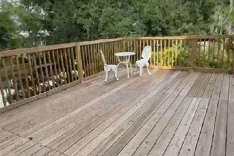 Villa ou maison à louer à Palm Harbor, Floride: 2 chambres, 105.72 m2 № 2418593 - photo 3