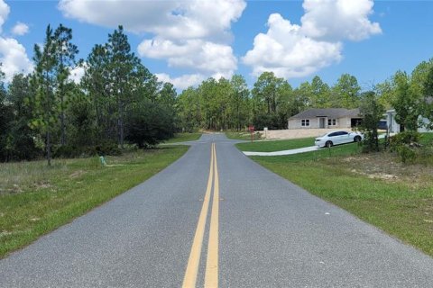 Land in Citrus Springs, Florida № 2231371 - photo 3